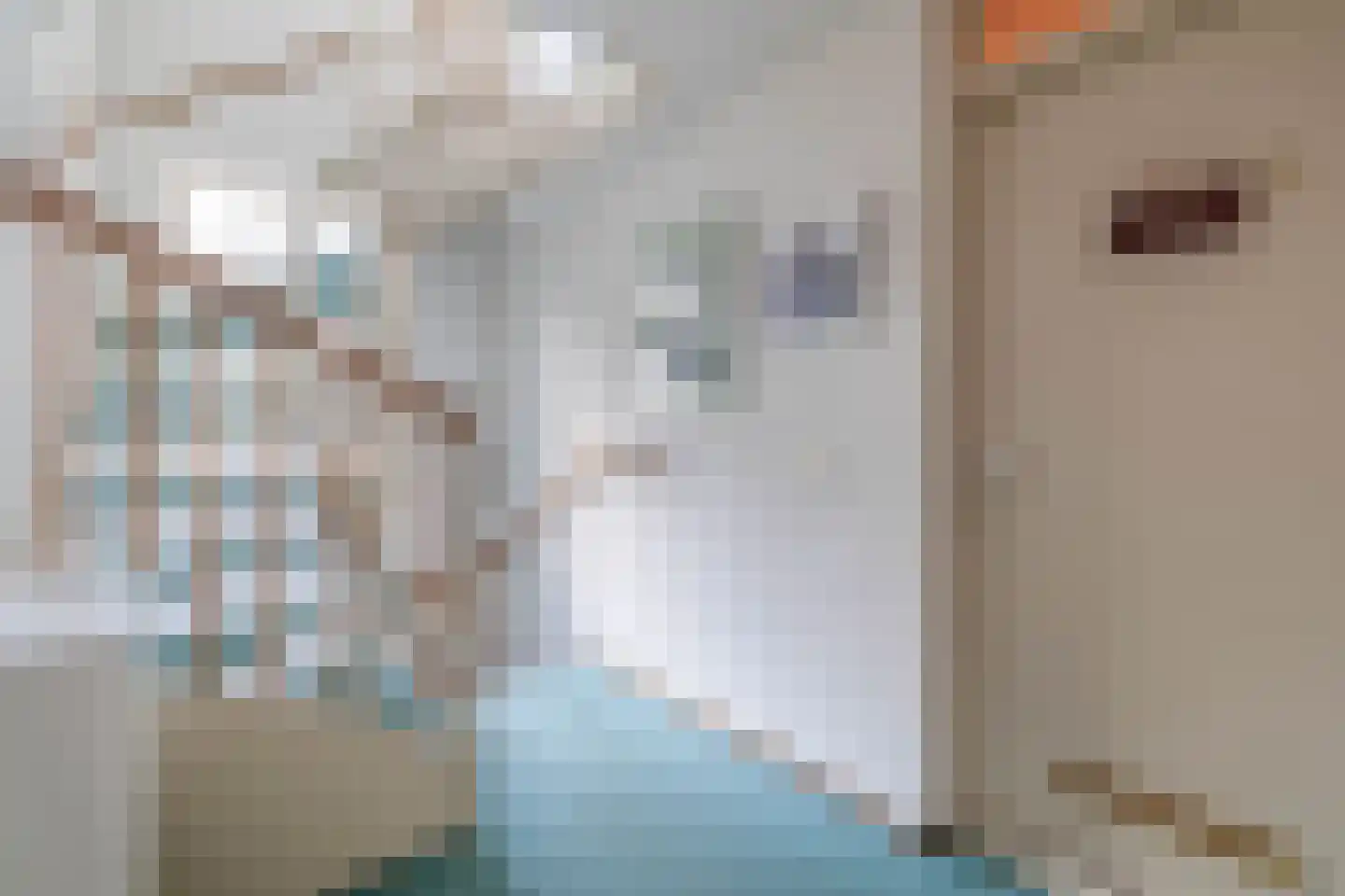 Blekerssingel 42 Gouda thumbnail 7