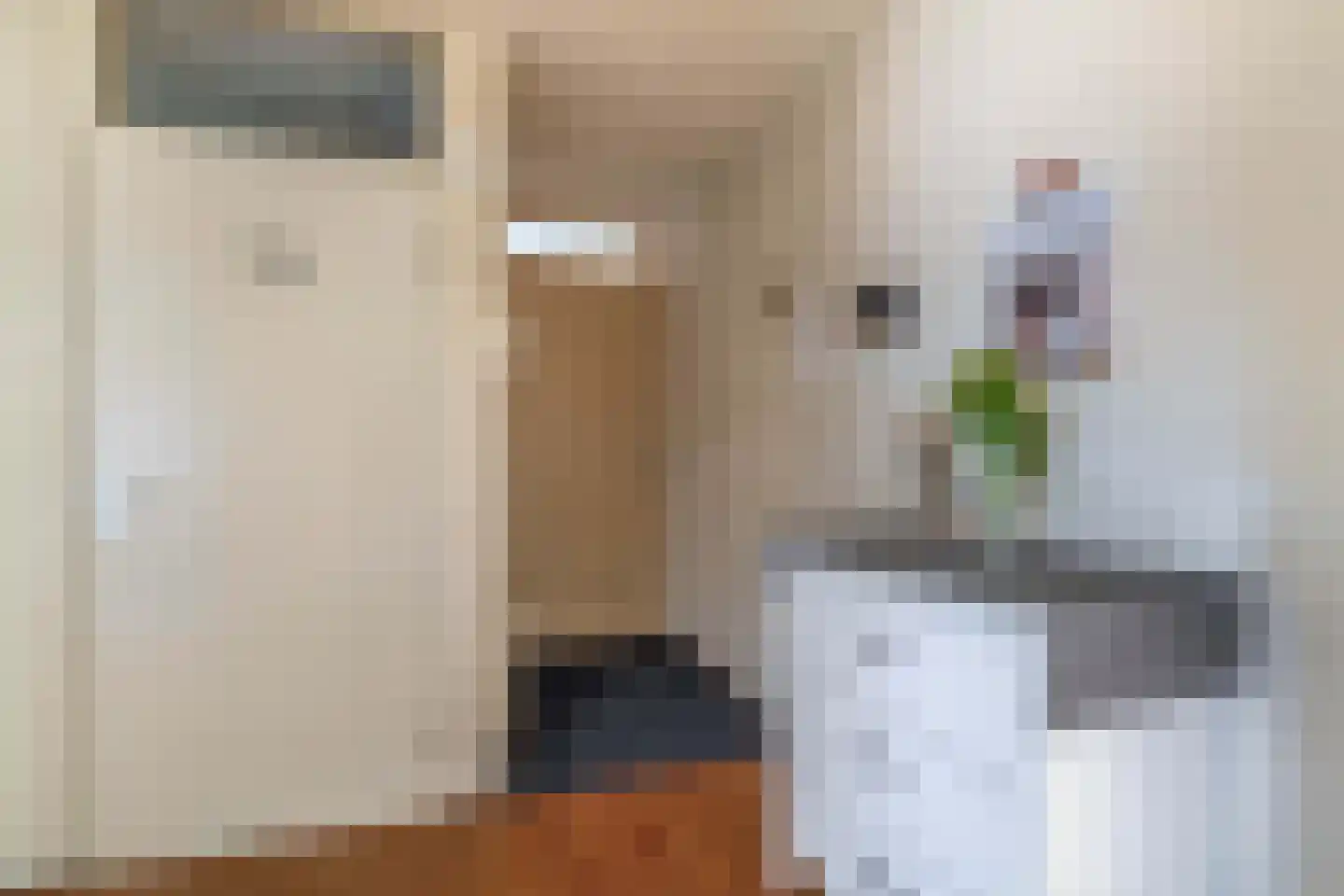 Blekerssingel 42 Gouda thumbnail 9