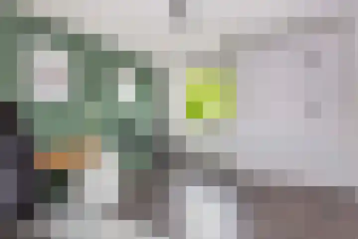 Blekerssingel 68 Amersfoort thumbnail 39