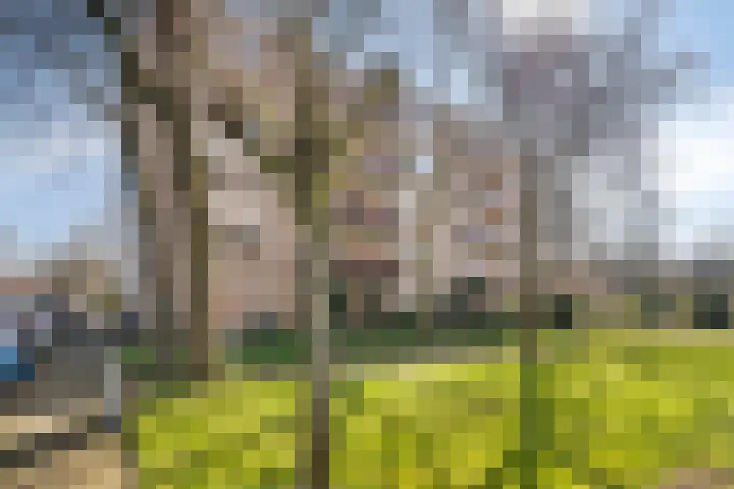 Blekerssingel 71 Amersfoort thumbnail 31