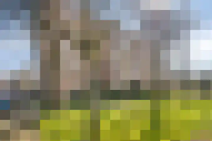 Blekerssingel 71 Amersfoort thumbnail 31