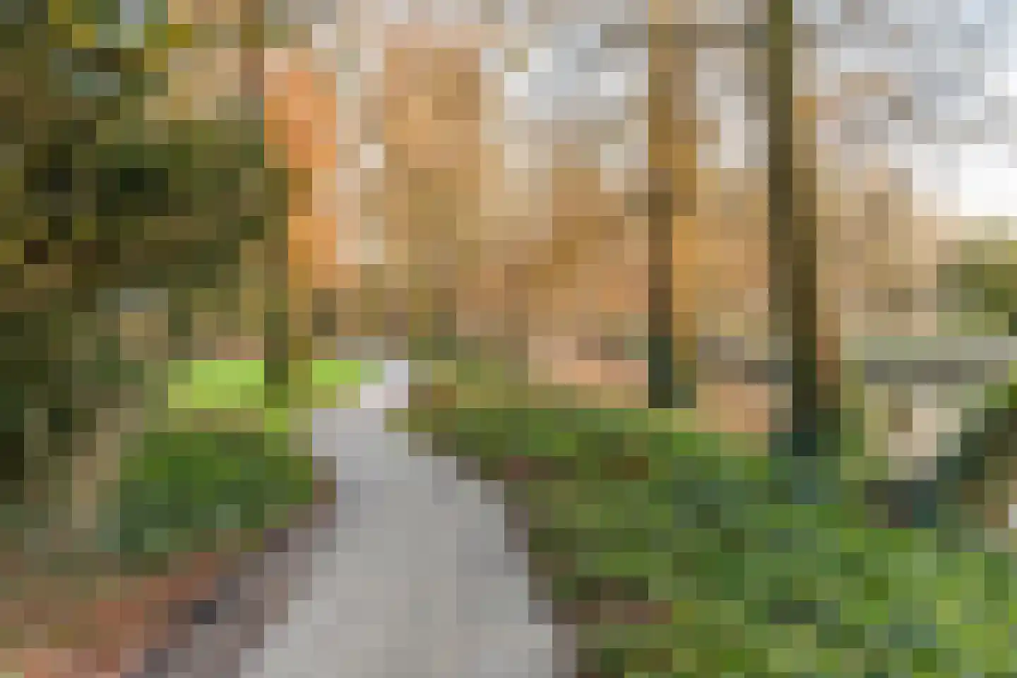 Blekerssingel 71 Amersfoort thumbnail 32
