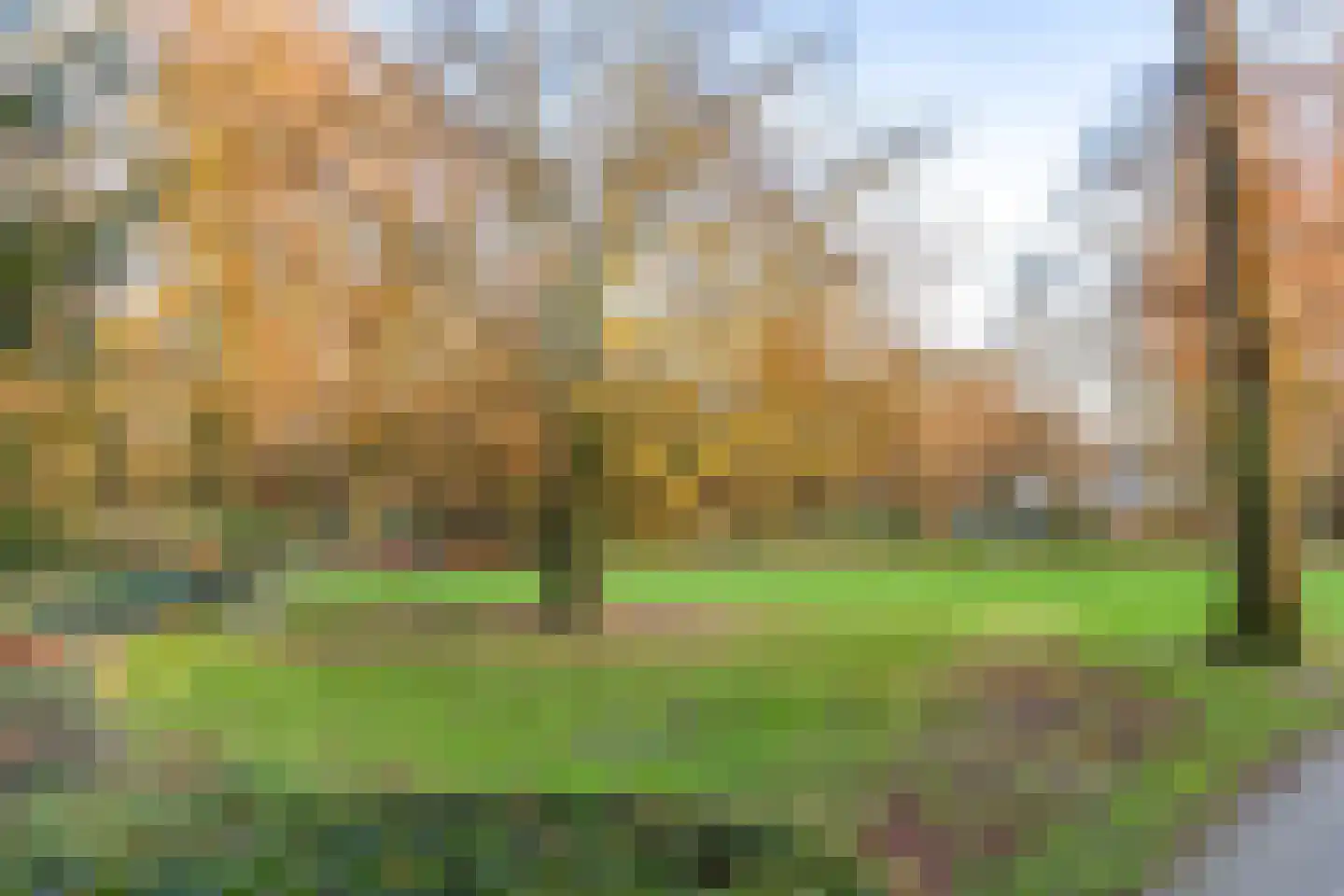 Blekerssingel 71 Amersfoort thumbnail 33