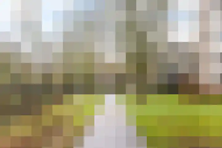 Blekerssingel 71 Amersfoort thumbnail 34
