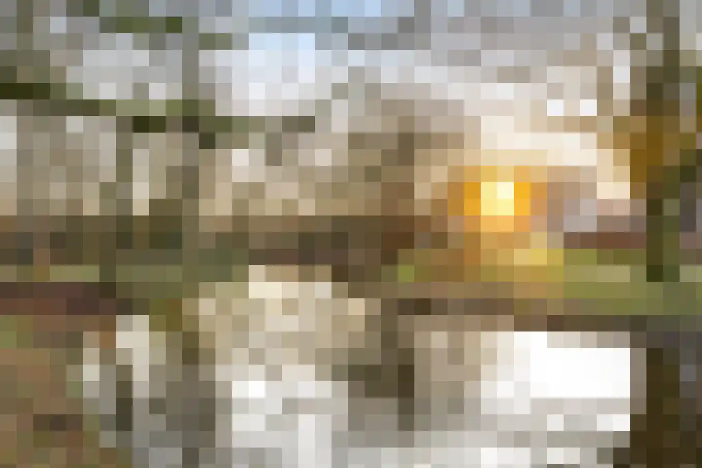 Blekerssingel 71 Amersfoort thumbnail 35