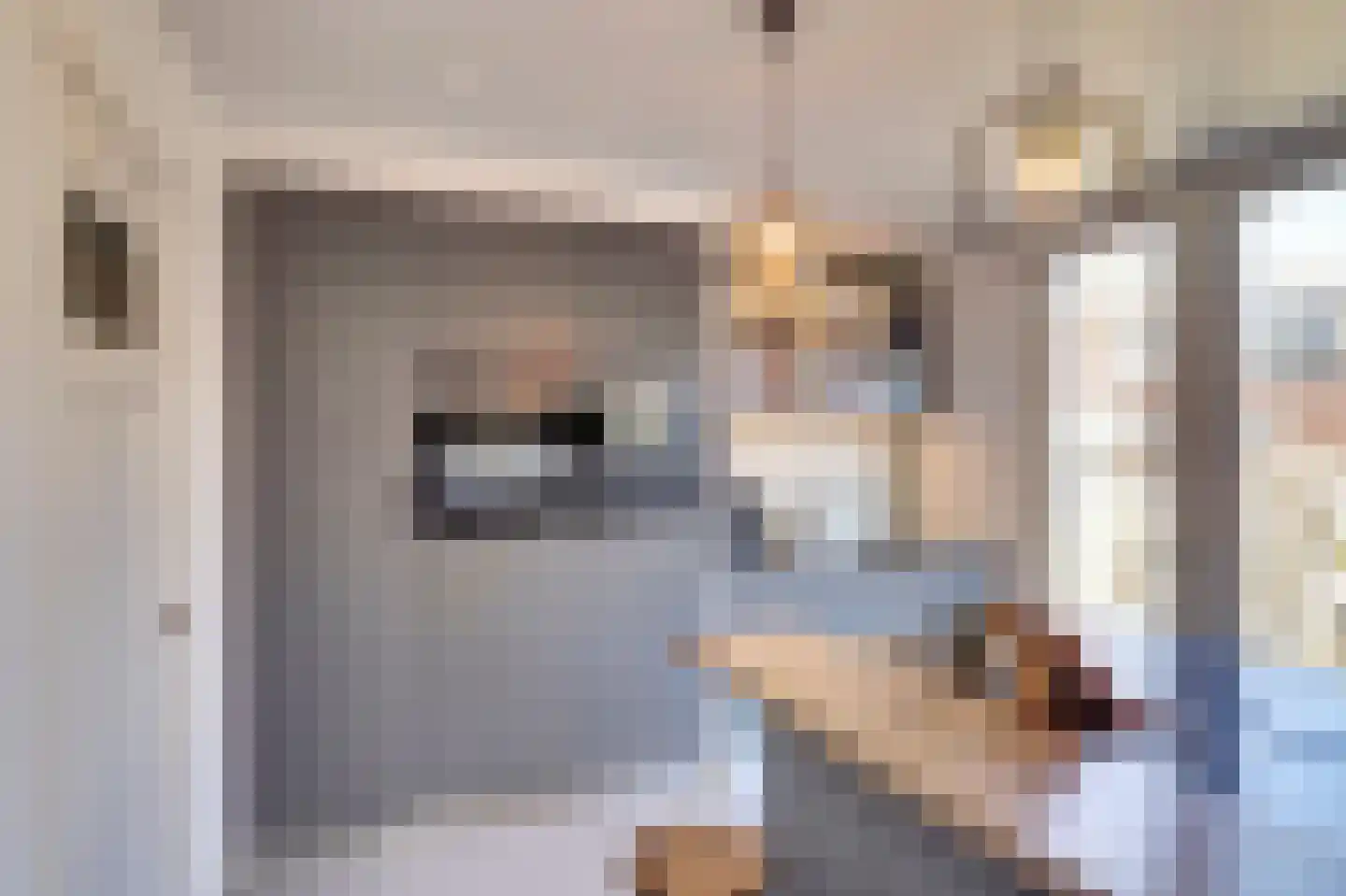 Blekerssingel 71 Gouda thumbnail 19