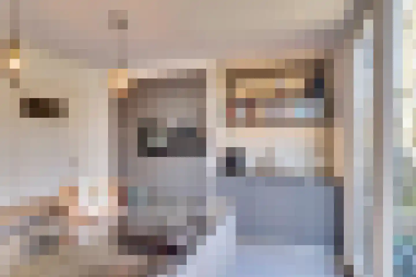 Blekerssingel 71 Gouda thumbnail 20