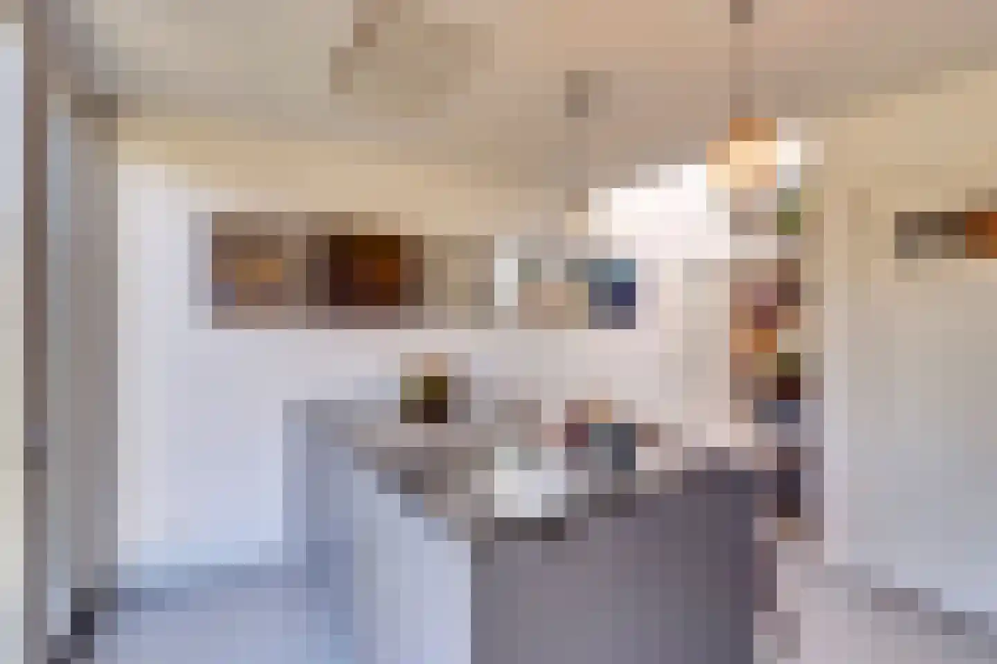 Blekerssingel 71 Gouda thumbnail 21