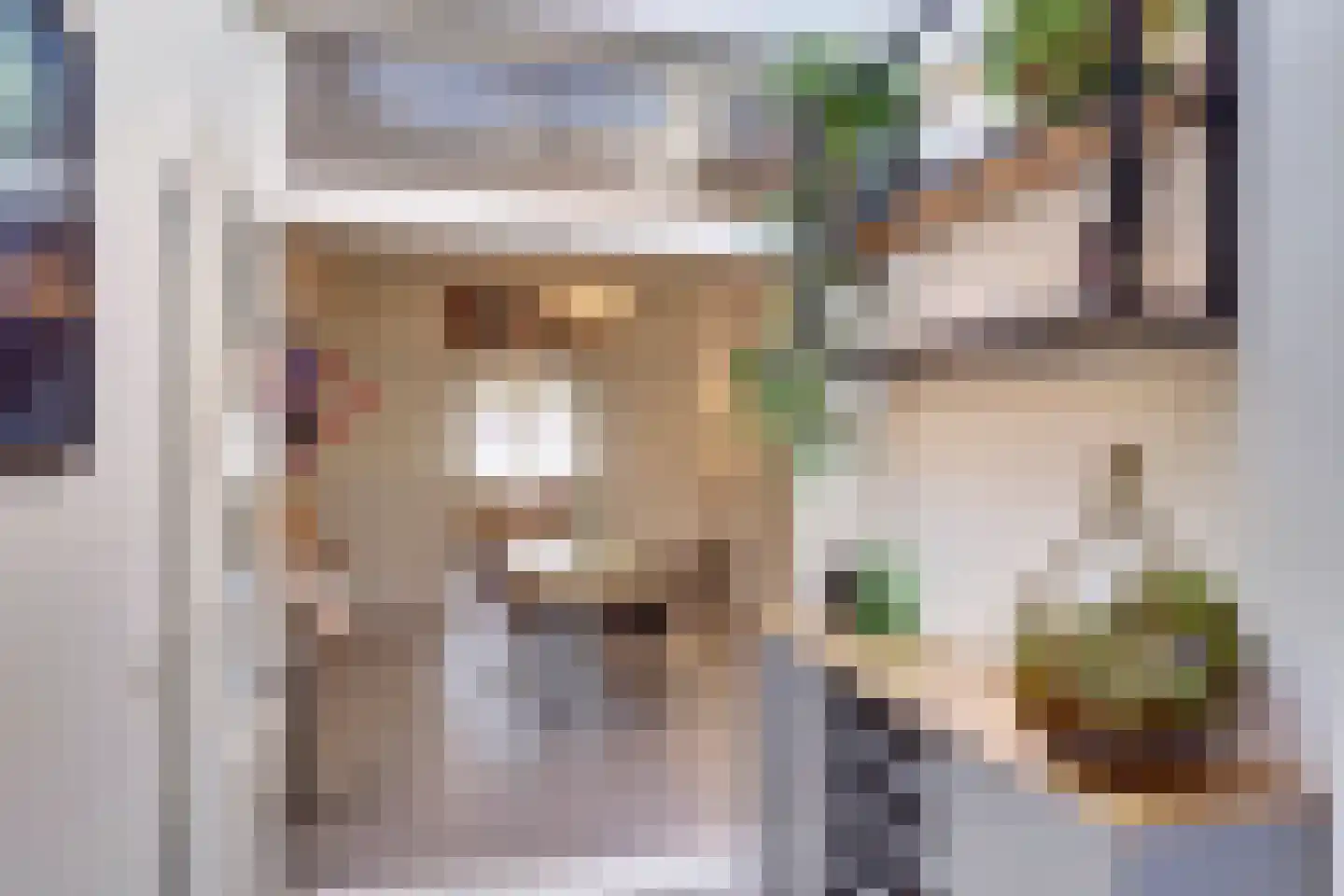 Blekerssingel 71 Gouda thumbnail 22