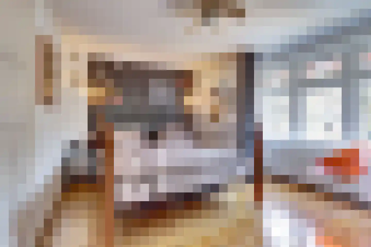 Blekerssingel 71 Gouda thumbnail 28