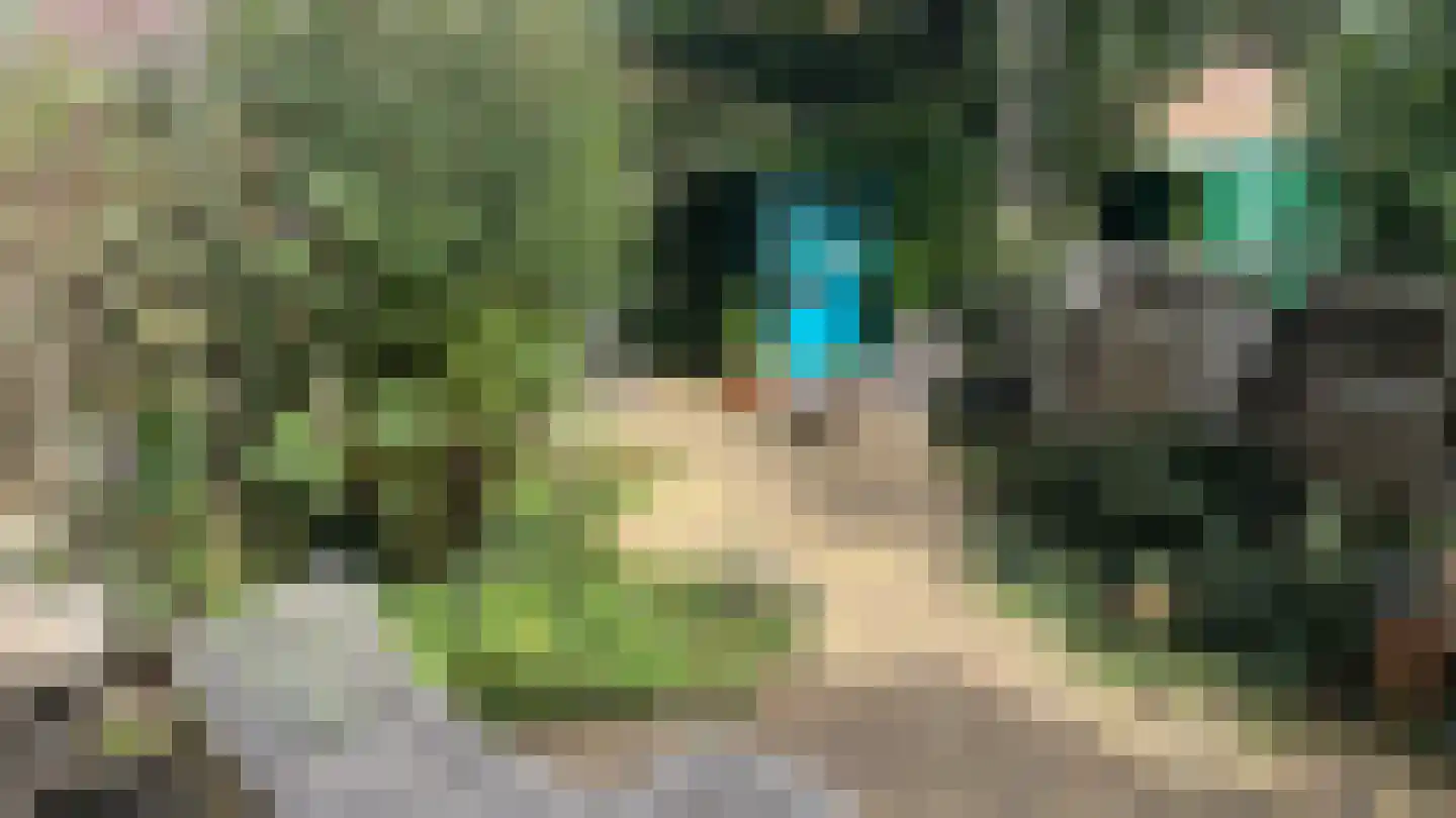Blekerssingel 71 Gouda thumbnail 56