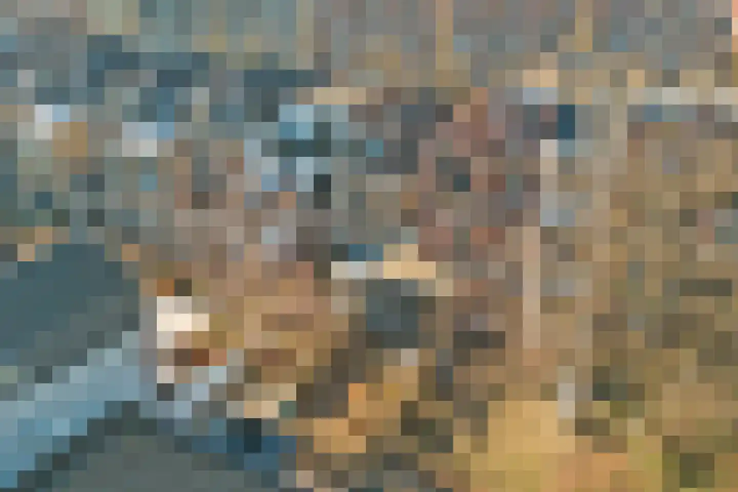 Blekerssingel 71 Gouda thumbnail 63