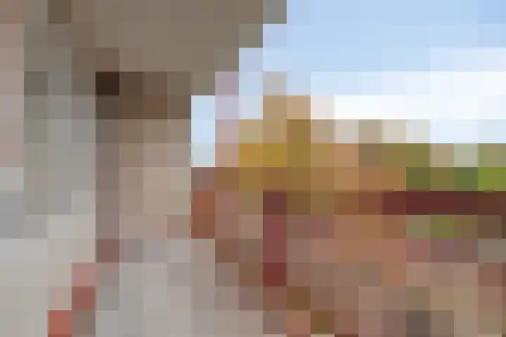 Blekerssingel 75 Amersfoort thumbnail 20