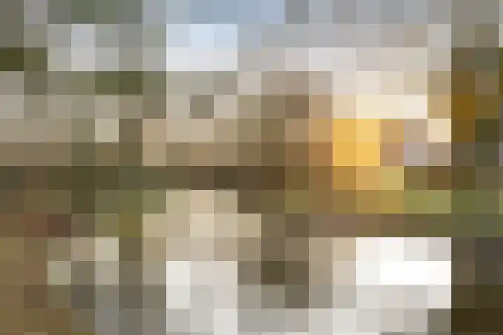 Blekerssingel 75 Amersfoort thumbnail 24
