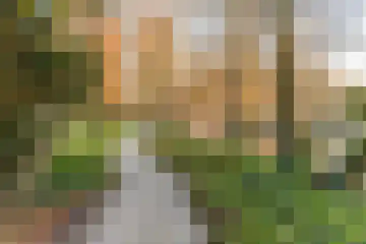 Blekerssingel 75 Amersfoort thumbnail 27