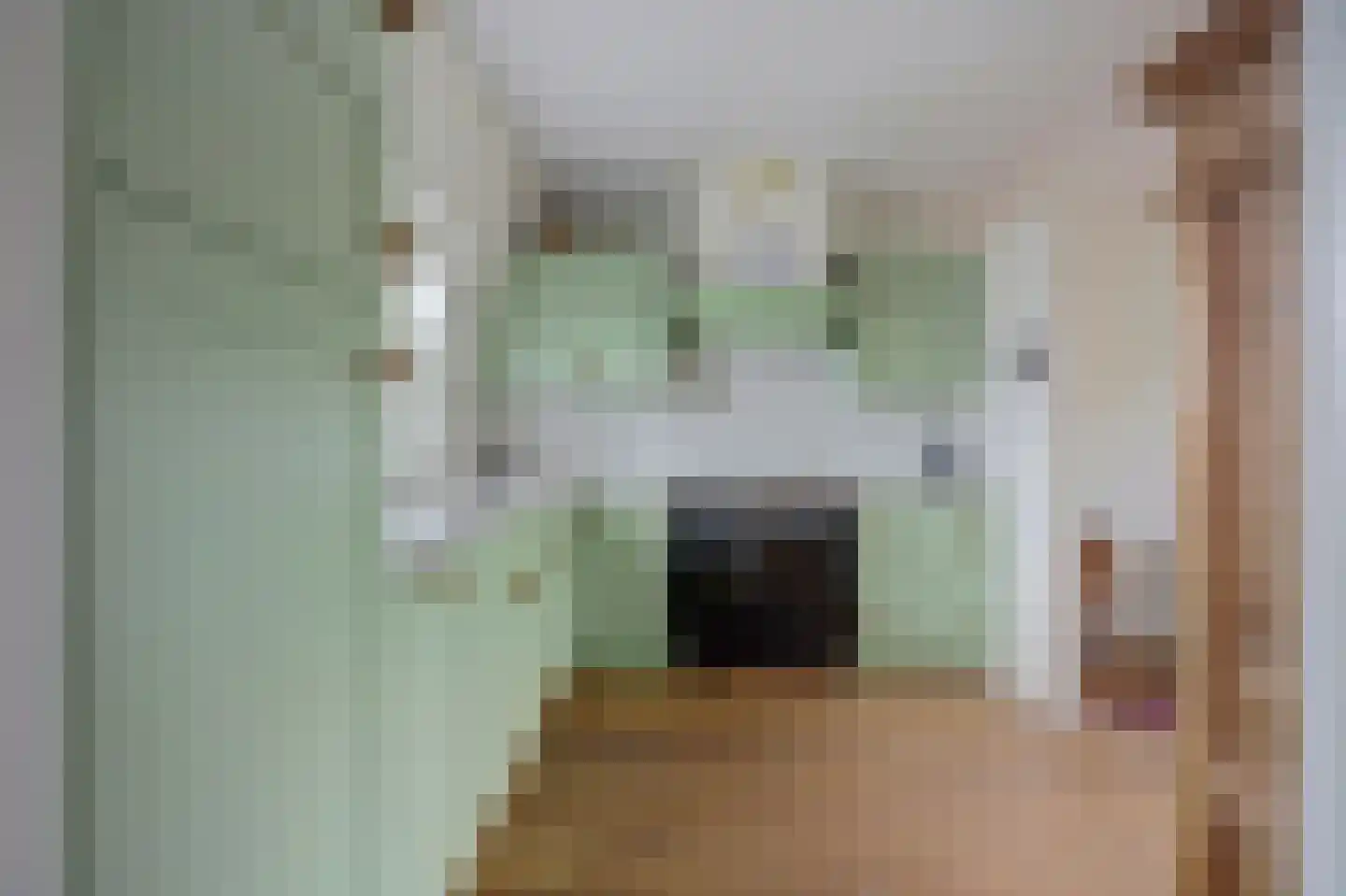 Blekerssingel 84 Gouda thumbnail 12