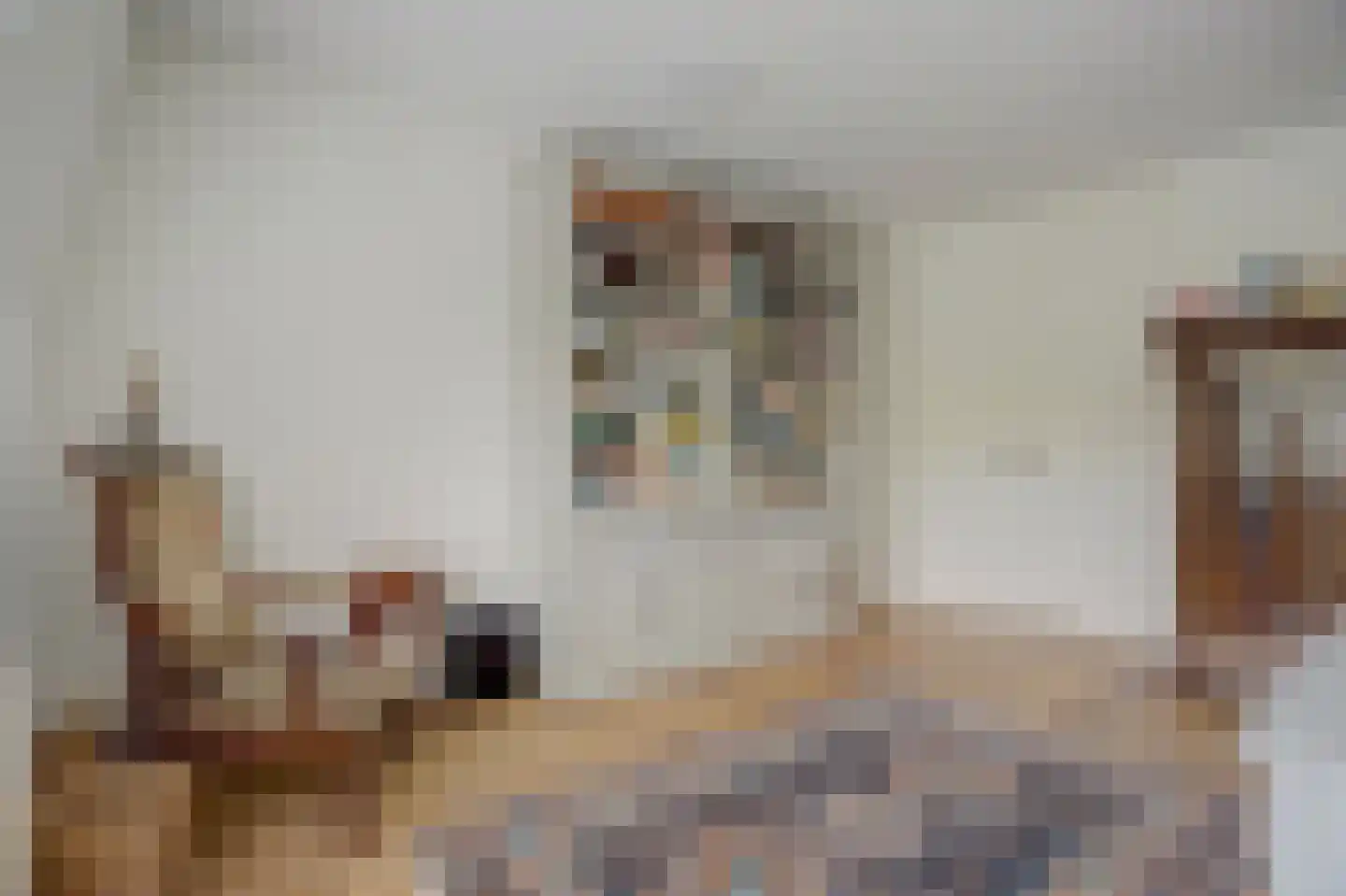 Blekerssingel 84 Gouda thumbnail 21