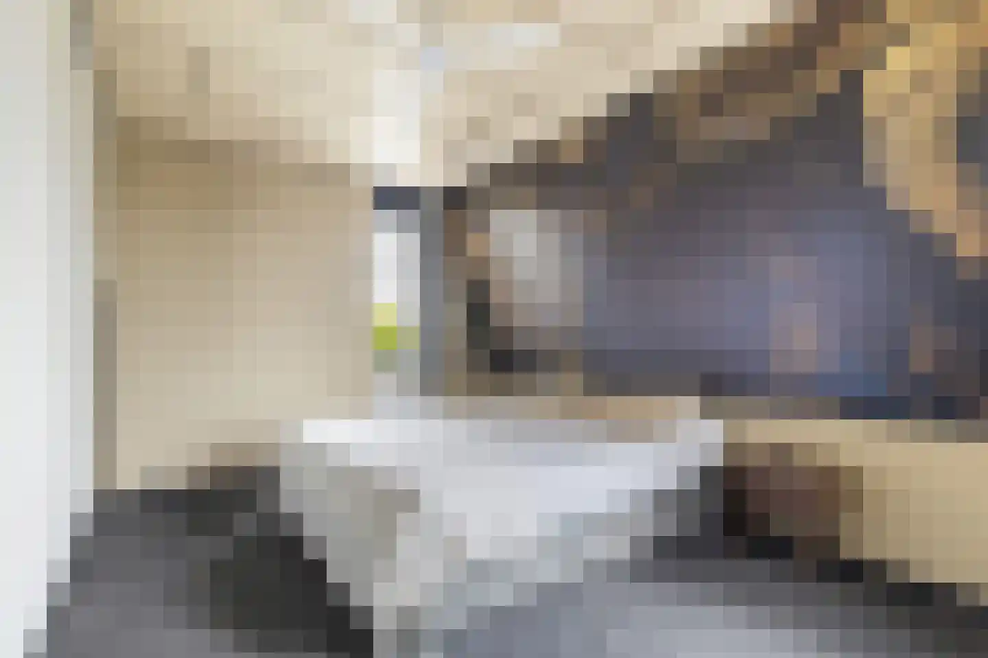Blekerssingel 86 Gouda thumbnail 14