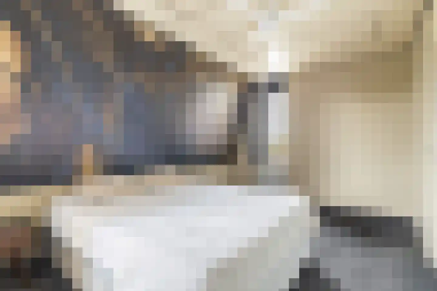 Blekerssingel 86 Gouda thumbnail 15