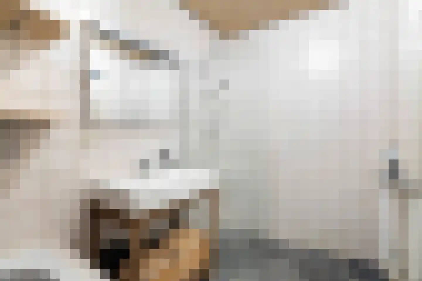 Blekerssingel 86 Gouda thumbnail 19