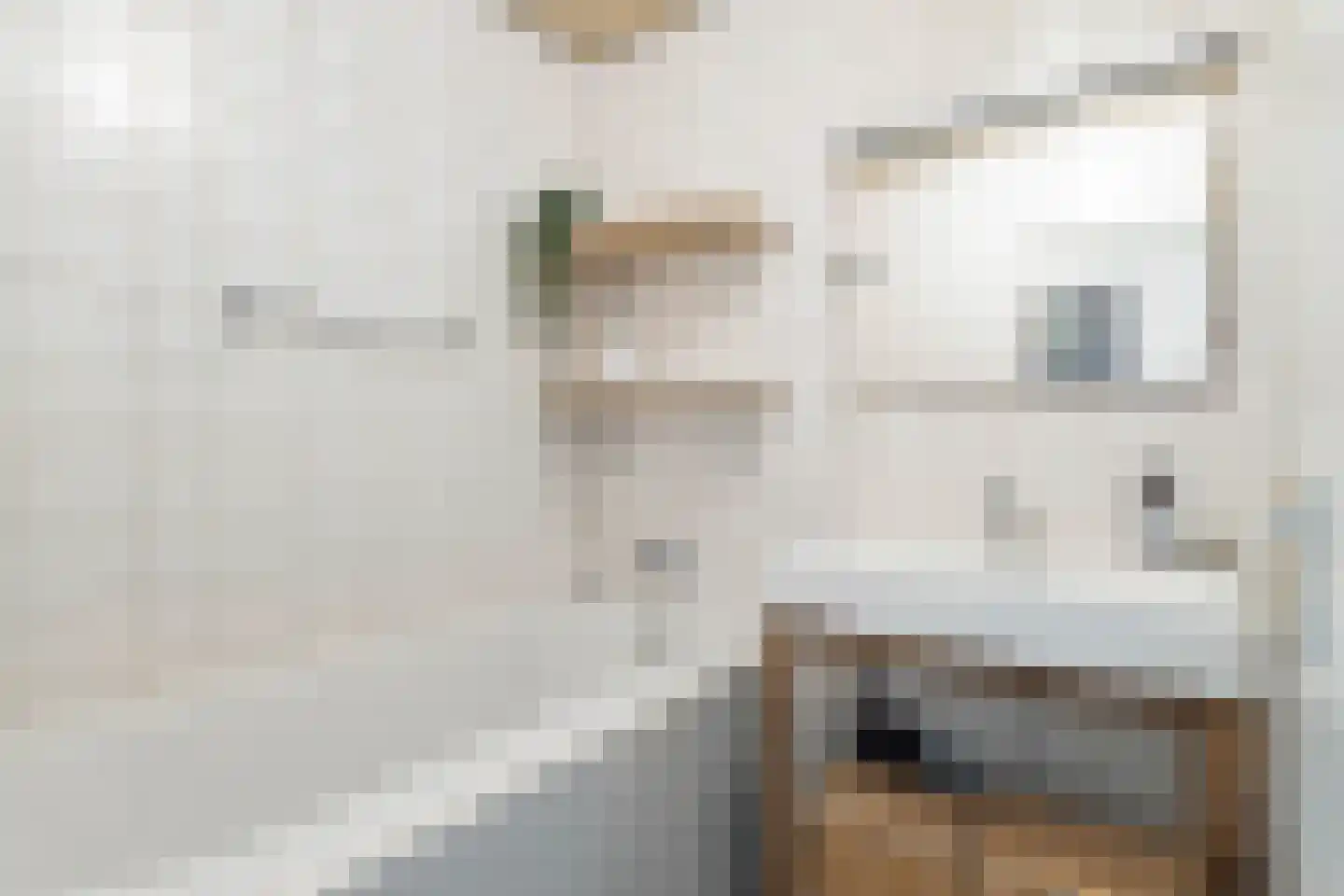 Blekerssingel 86 Gouda thumbnail 20