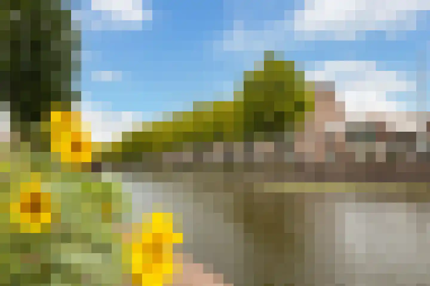 Blekerssingel 86 Gouda thumbnail 21