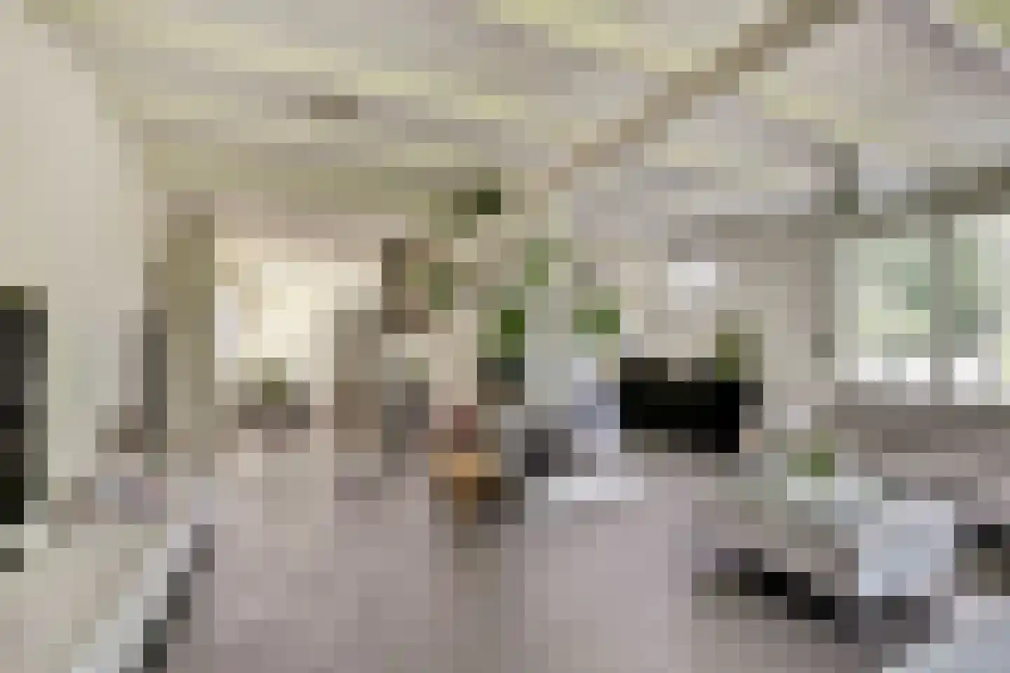 Blekerstraat 13 Haastrecht thumbnail 10