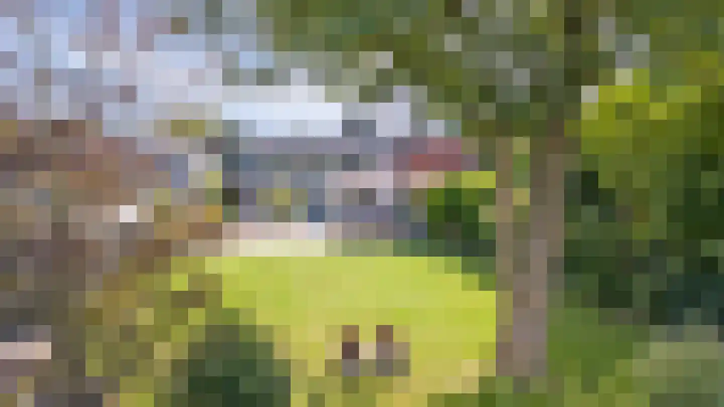 Blekerstraat 13 Haastrecht thumbnail 56