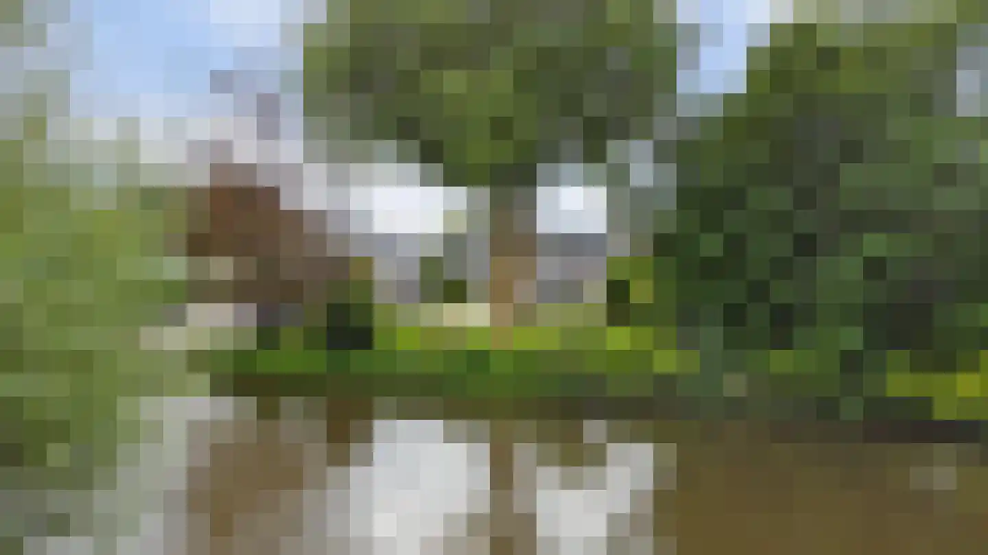Blekerstraat 13 Haastrecht thumbnail 57