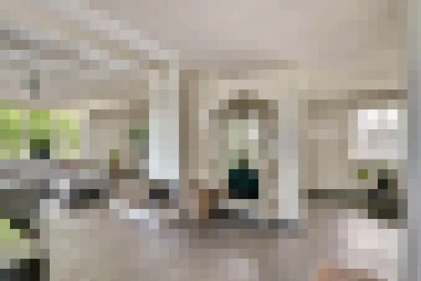 Blekerstraat 13 Haastrecht thumbnail 7