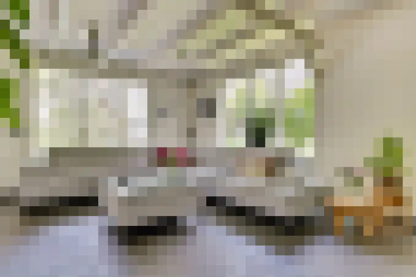 Blekerstraat 13 Haastrecht thumbnail 8