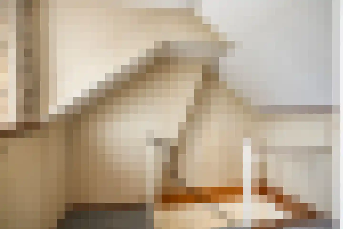 Blekerstraat 15 Haaksbergen thumbnail 21