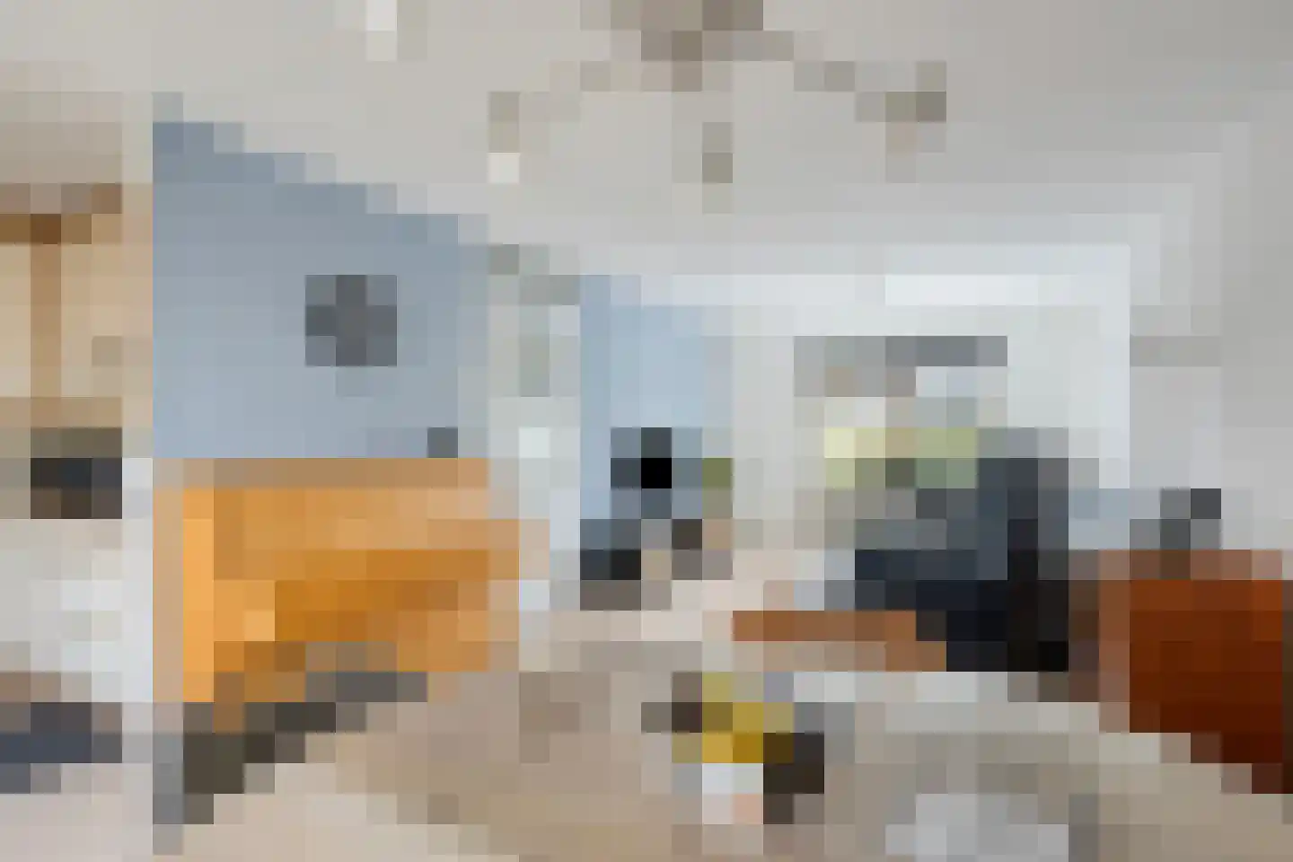 Blekerstraat 18 Wormerveer thumbnail 8