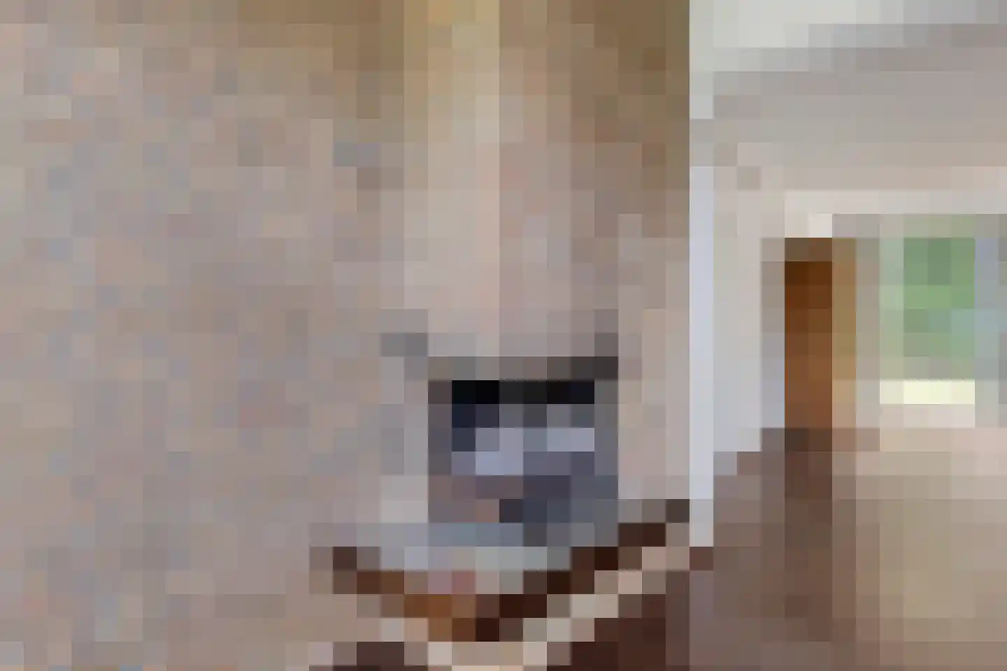 Blekerstraat 2 Son en Breugel thumbnail 17