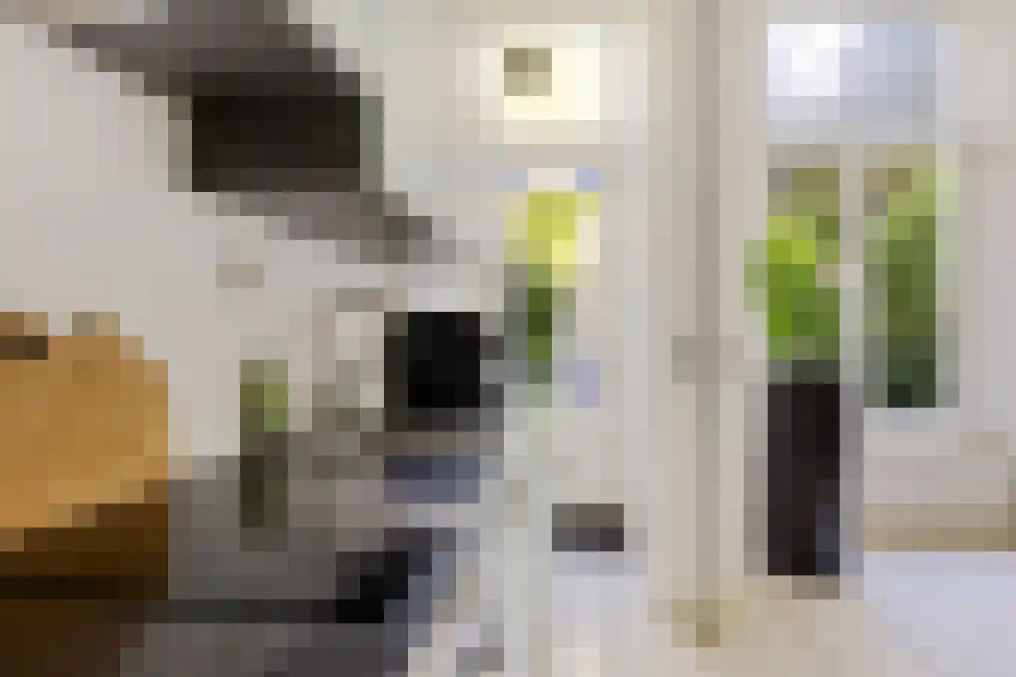 Blekerstraat 3 Groningen thumbnail 21