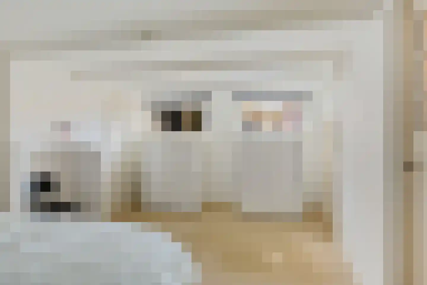 Blekerstraat 3 Groningen thumbnail 24