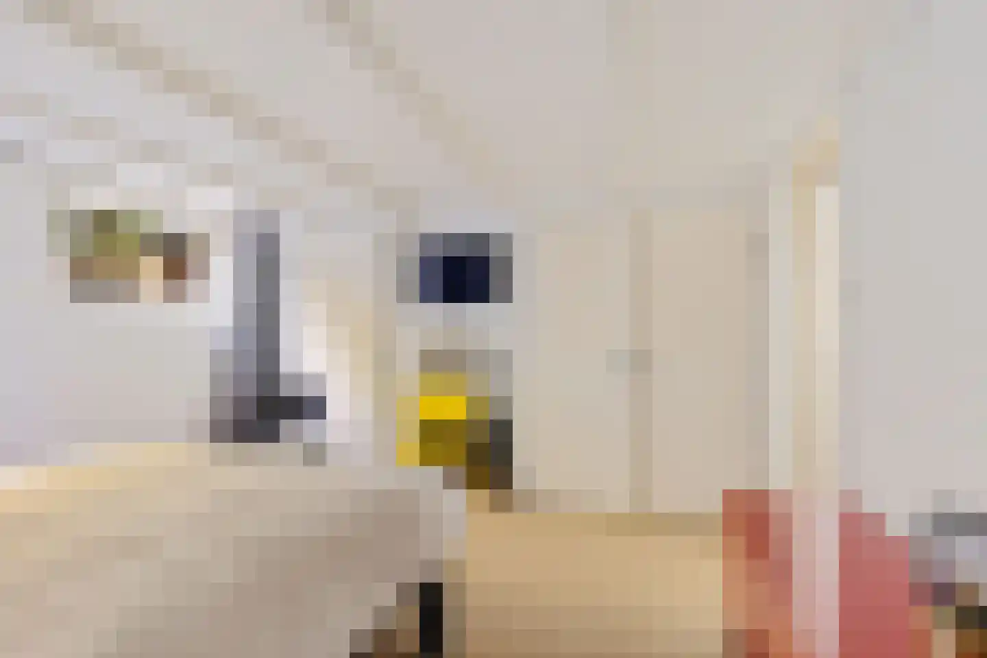 Blekerstraat 3 Groningen thumbnail 26