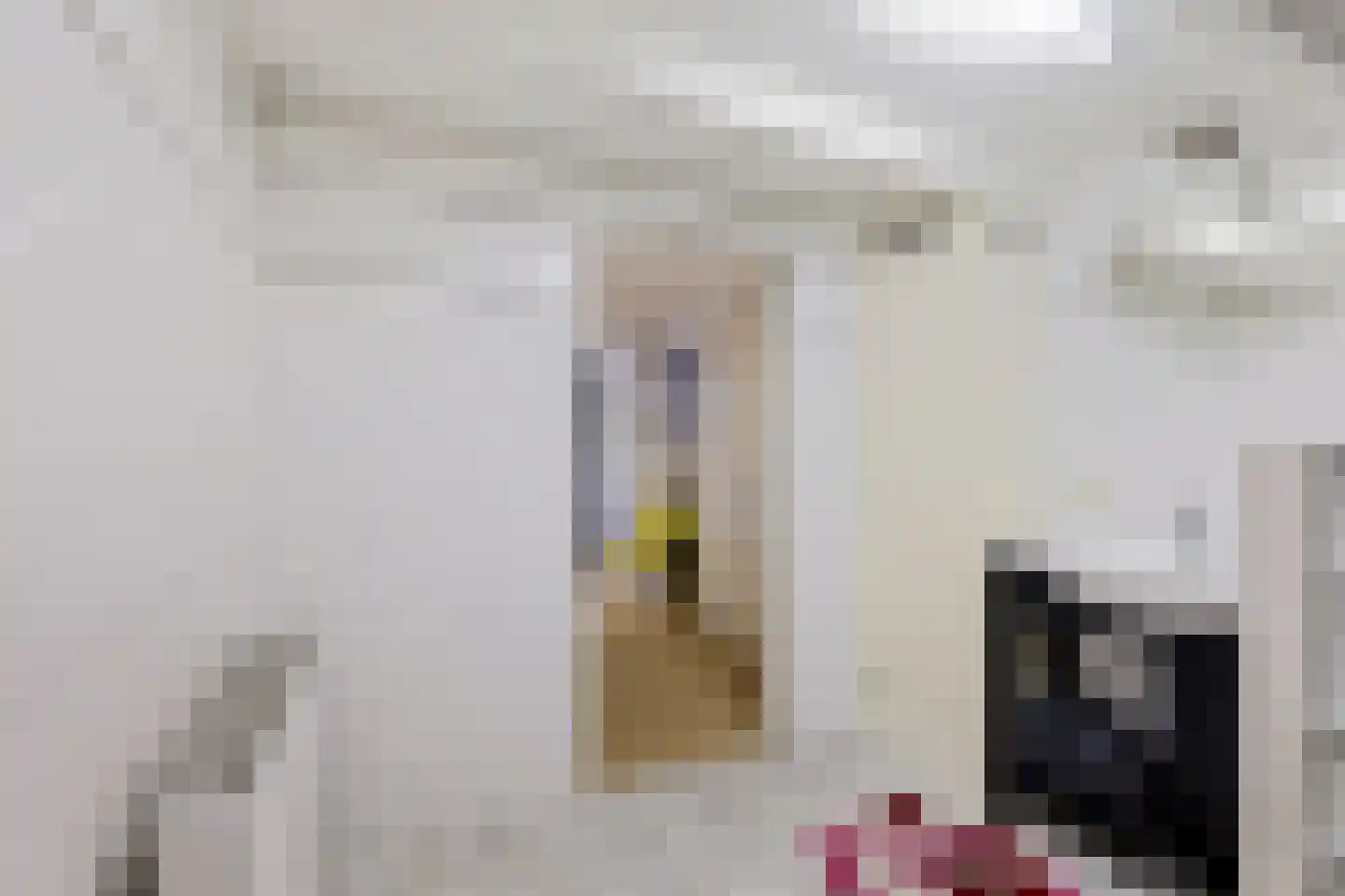 Blekerstraat 3 Groningen thumbnail 29