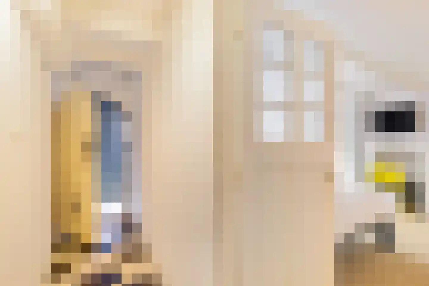 Blekerstraat 3 Groningen thumbnail 30