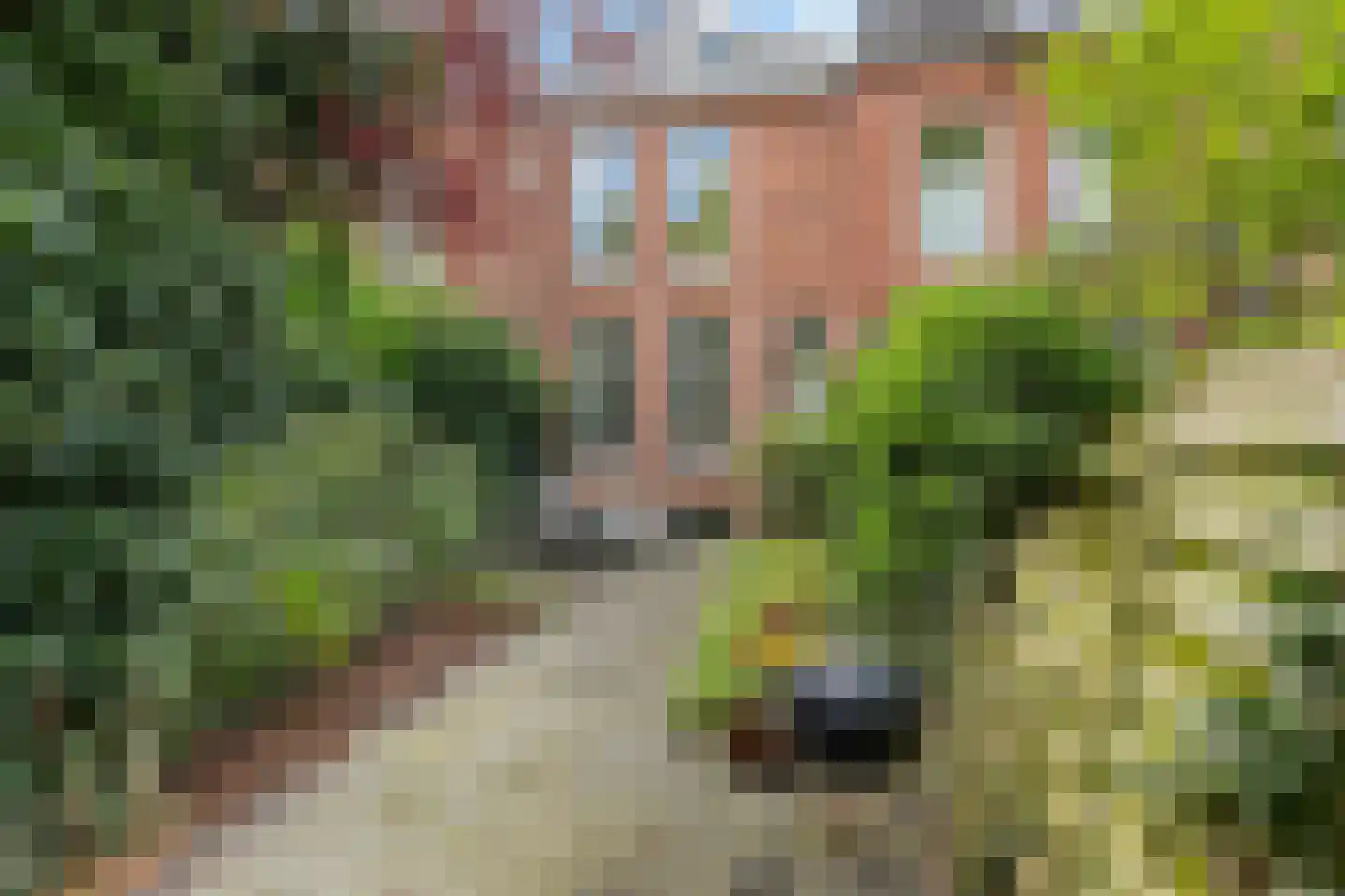 Blekerstraat 3 Groningen thumbnail 5