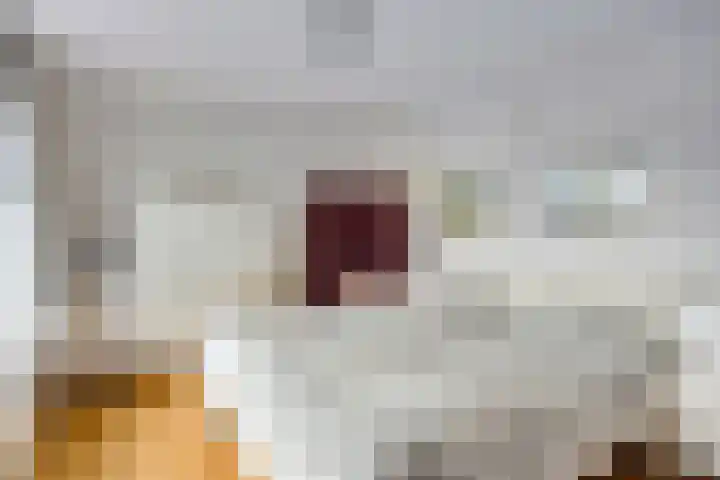 Blekerstraat 3 Son en Breugel thumbnail 23