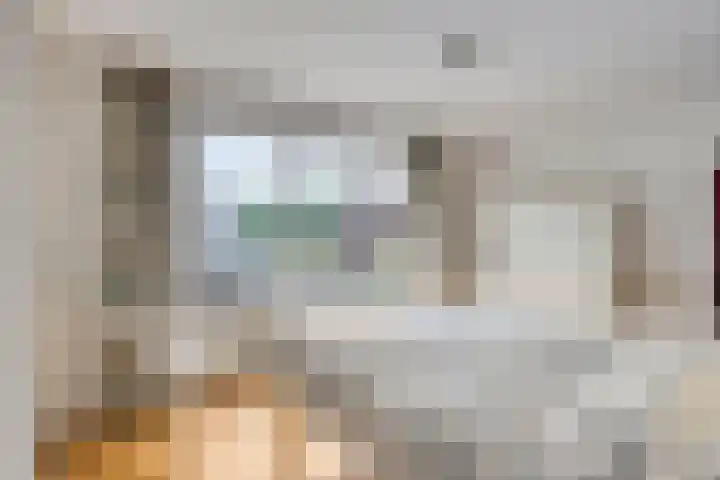 Blekerstraat 3 Son en Breugel thumbnail 24