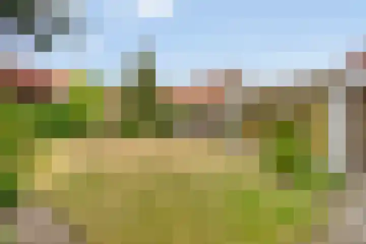 Blekerstraat 3 Son en Breugel thumbnail 31