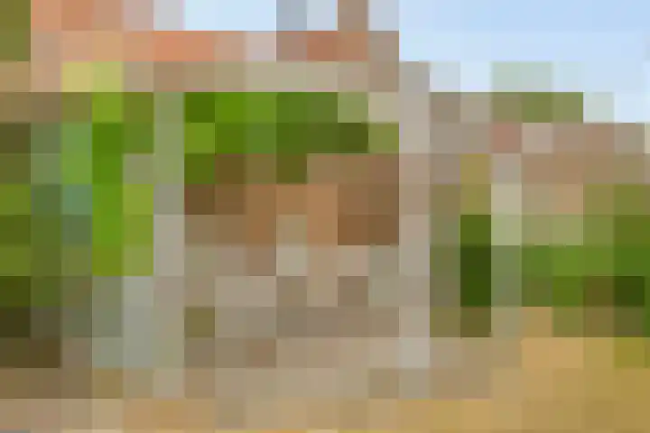 Blekerstraat 3 Son en Breugel thumbnail 32