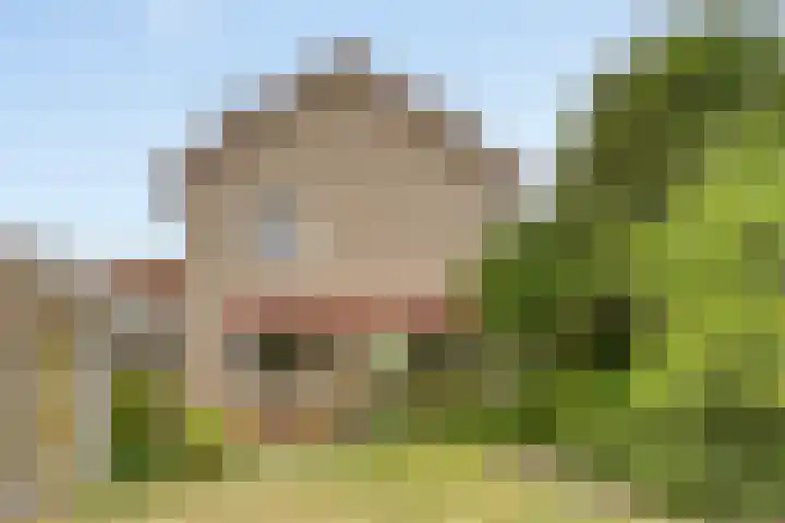Blekerstraat 3 Son en Breugel thumbnail 34