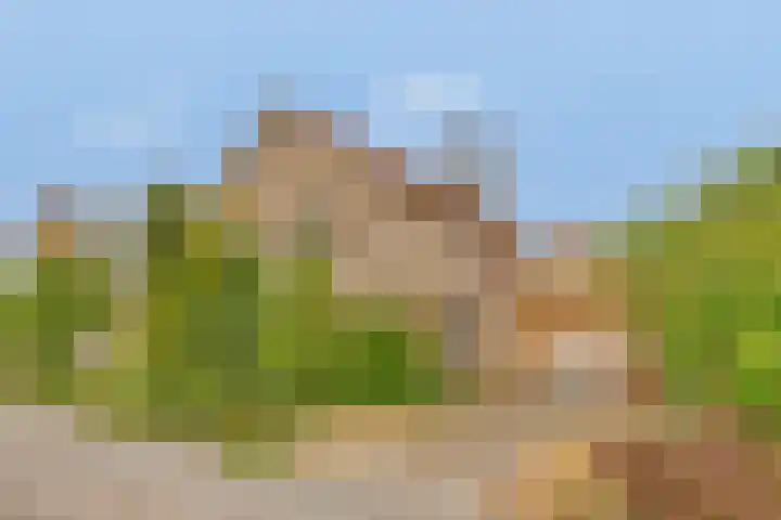 Blekerstraat 3 Son en Breugel thumbnail 36