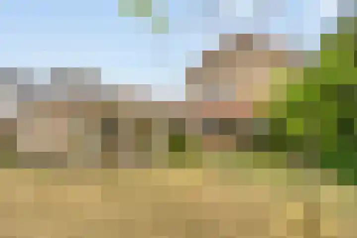 Blekerstraat 3 Son en Breugel thumbnail 4