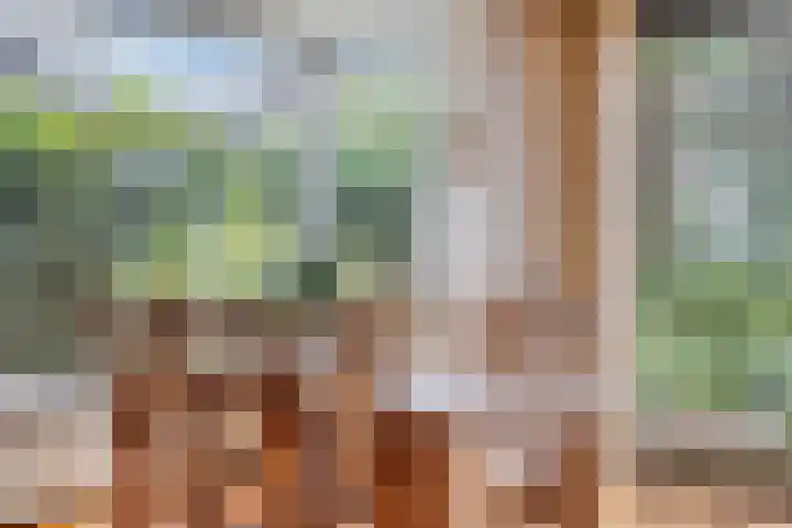 Blekerstraat 3 Son en Breugel thumbnail 7