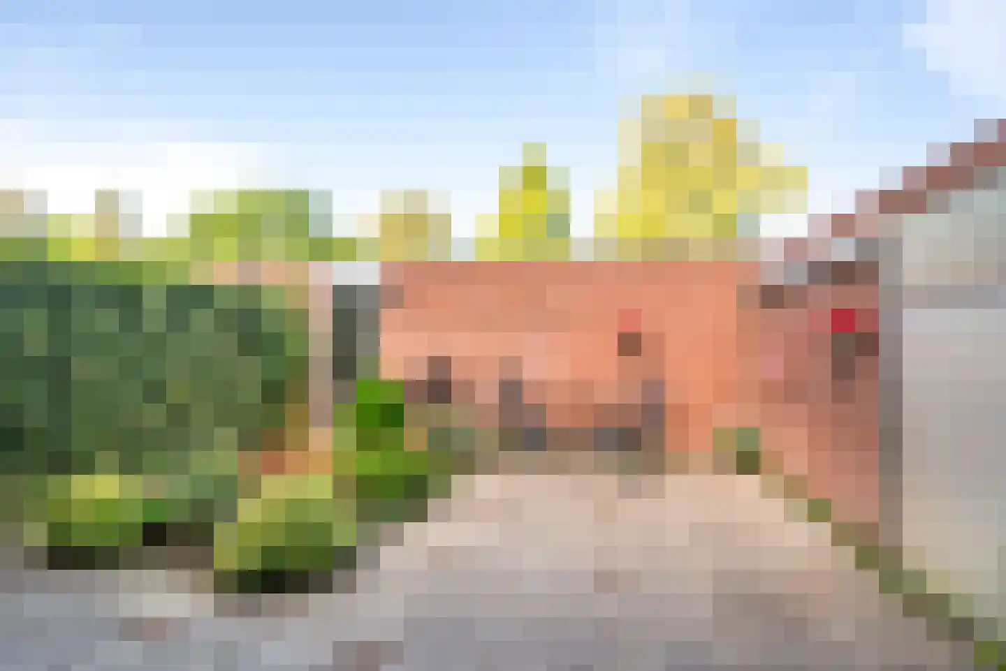 Blekersvaartweg 11 A Heemstede thumbnail 4