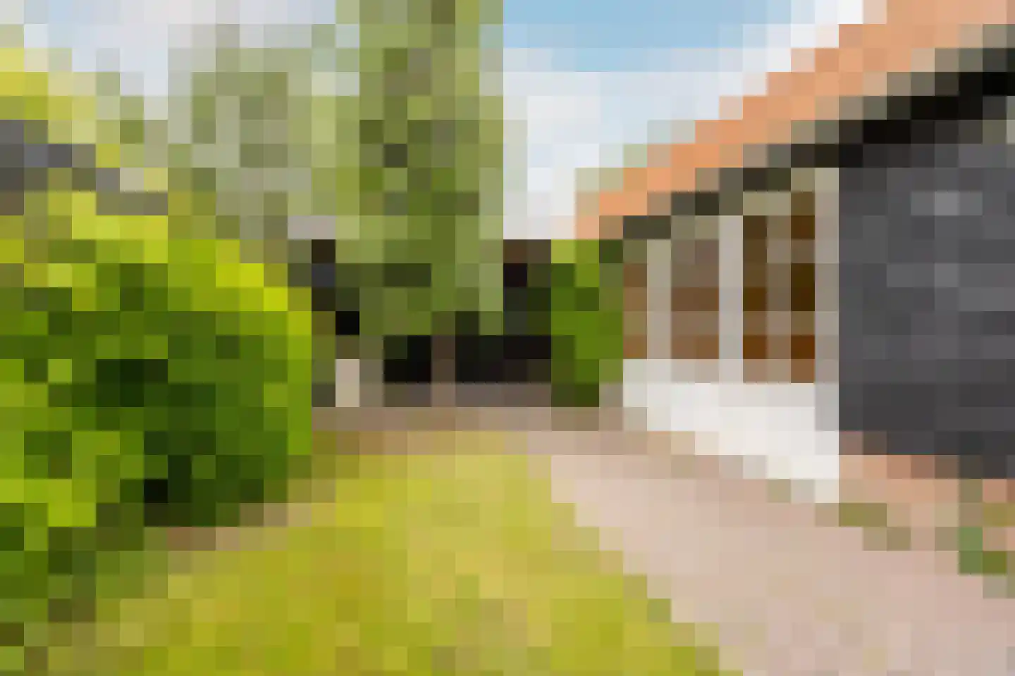 Blekersvaartweg 14 C Heemstede thumbnail 31